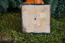 Afbeelding in Gallery-weergave laden, Botanische paddestoel (5)
