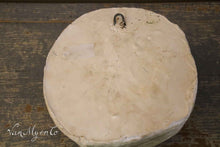 Load image into Gallery viewer, Child's head in plaster
