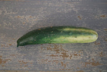 Load image into Gallery viewer, Old school models of vegetables of all kinds
