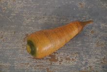 Load image into Gallery viewer, Old school models of vegetables of all kinds
