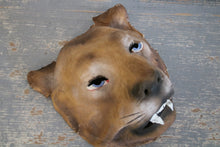 Afbeelding in Gallery-weergave laden, Oude dierenmaskers
