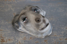 Afbeelding in Gallery-weergave laden, Oude dierenmaskers
