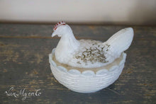 Load image into Gallery viewer, Opaline chickens
