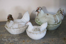 Load image into Gallery viewer, Opaline chickens
