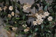 Afbeelding in Gallery-weergave laden, Antieke bruidskrans
