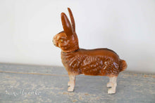 Afbeelding in Gallery-weergave laden, Kleine haas op vier poten
