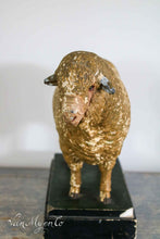 Afbeelding in Gallery-weergave laden, Antiek didaktisch model van een merino ram
