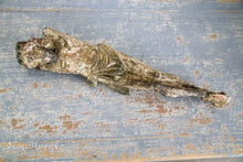 Load image into Gallery viewer, Large antique corpus (6)
