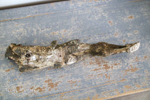 Load image into Gallery viewer, Large antique corpus (6)
