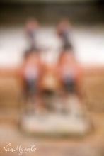 Afbeelding in Gallery-weergave laden, Twee paardje op een plankje

