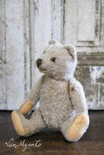 Load image into Gallery viewer, Little bear with long arms
