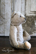 Load image into Gallery viewer, Little bear with long arms

