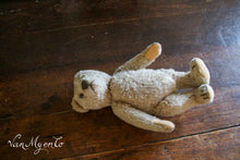 Load image into Gallery viewer, Little bear with long arms
