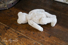 Load image into Gallery viewer, Little bear with long arms
