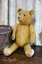 Load image into Gallery viewer, Old bear
