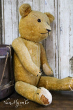 Load image into Gallery viewer, Old bear
