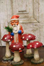 Lade das Bild in den Galerie-Viewer, Holzfliegenpilze
