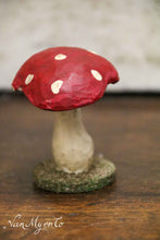 Lade das Bild in den Galerie-Viewer, Holzfliegenpilze
