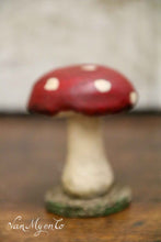 Lade das Bild in den Galerie-Viewer, Holzfliegenpilze
