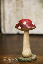 Lade das Bild in den Galerie-Viewer, Holzfliegenpilze
