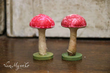 Afbeelding in Gallery-weergave laden, Paddestoeltjes van geperste watten
