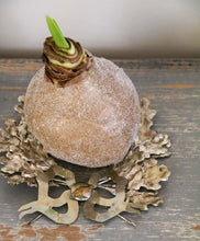 Load image into Gallery viewer, Silver oak leaf wreath
